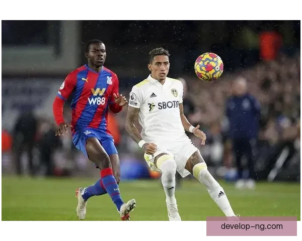 利兹联新赛季引援布局全面曝光全力冲击英超前六目标强势回归再创辉煌 利兹联新赛季引援布局全面曝光全力冲击英超前六目标强势回归再创辉煌