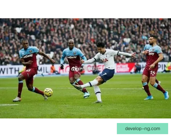 霍芬海姆1899足球俱乐部迎接新赛季挑战，阵容调整备战欧洲赛场